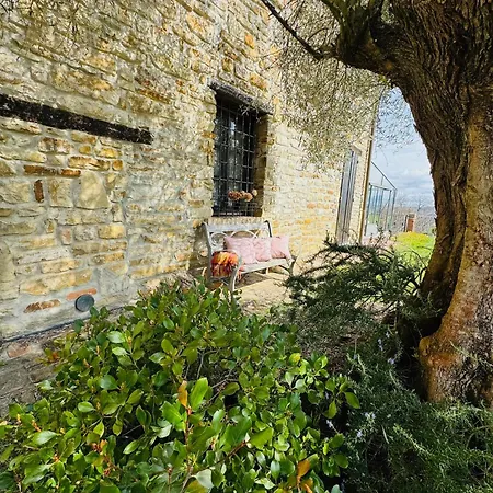 Villa Natura Piemonte With Pool *